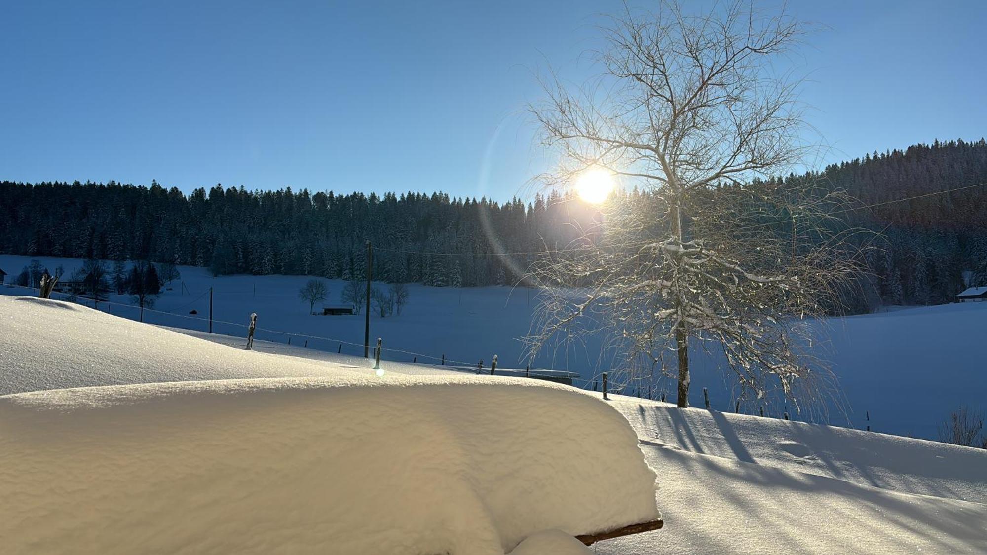 Relais De La Baume Διαμέρισμα Le Locle Εξωτερικό φωτογραφία