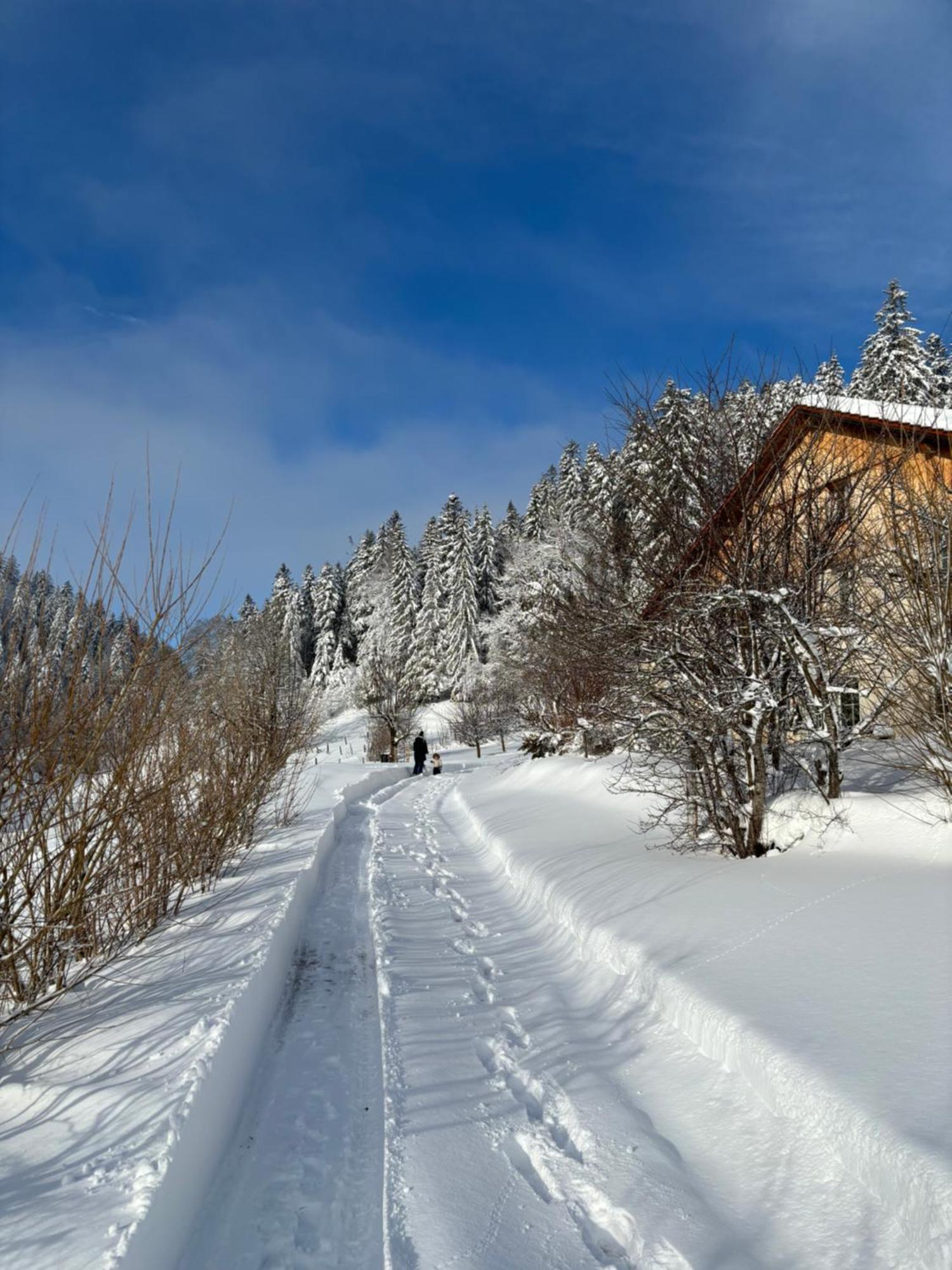 Relais De La Baume Διαμέρισμα Le Locle Εξωτερικό φωτογραφία