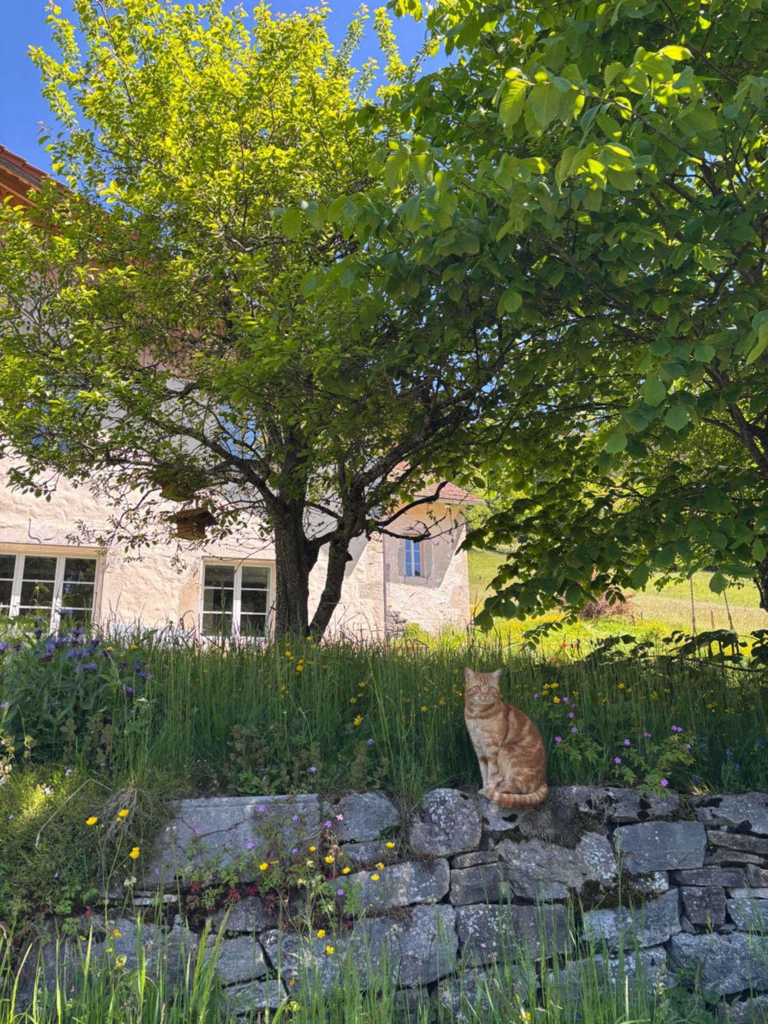 Relais De La Baume Διαμέρισμα Le Locle Εξωτερικό φωτογραφία