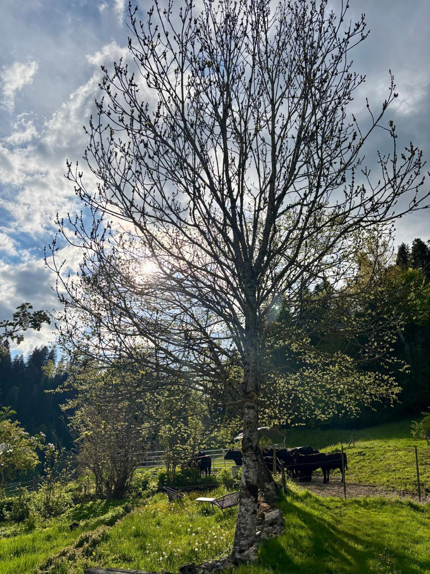 Relais De La Baume Διαμέρισμα Le Locle Εξωτερικό φωτογραφία