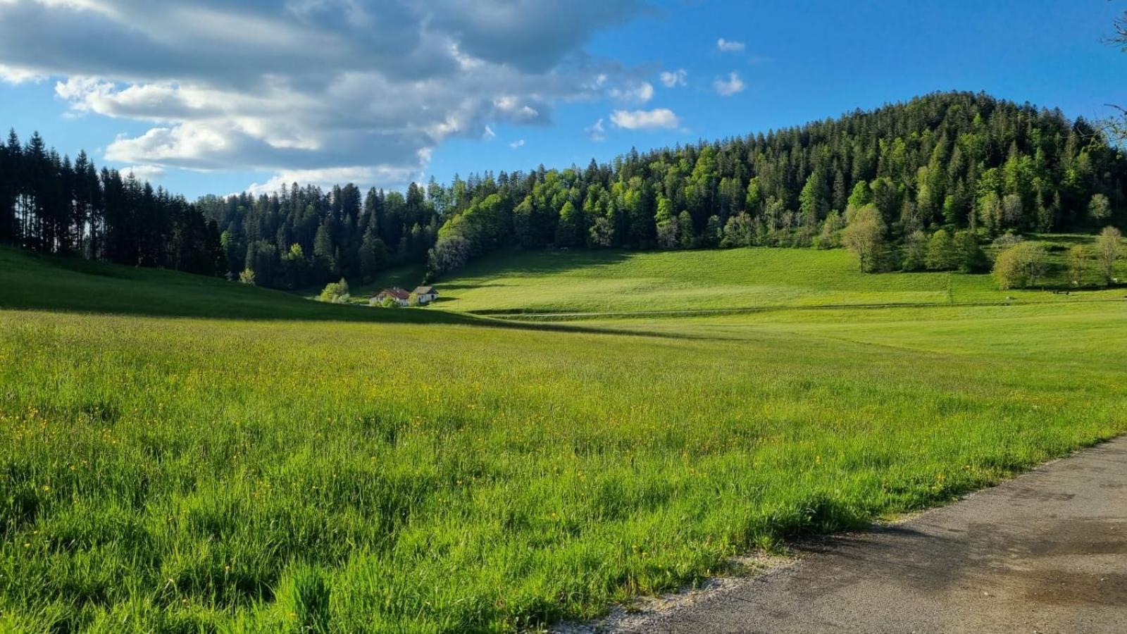Relais De La Baume Διαμέρισμα Le Locle Εξωτερικό φωτογραφία