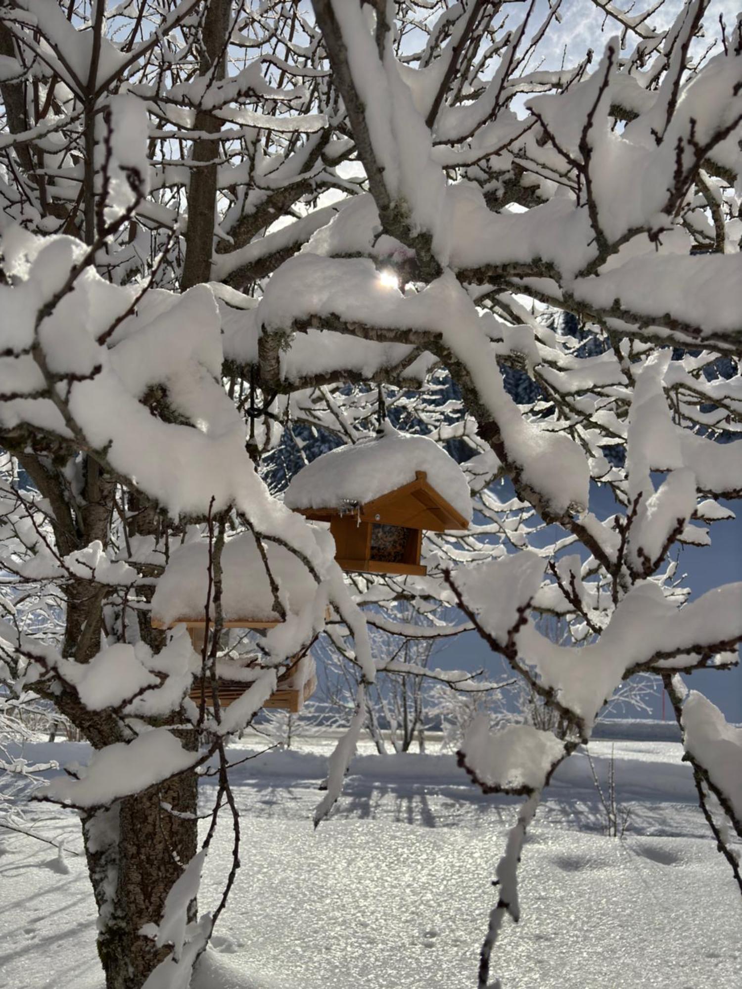 Relais De La Baume Διαμέρισμα Le Locle Εξωτερικό φωτογραφία